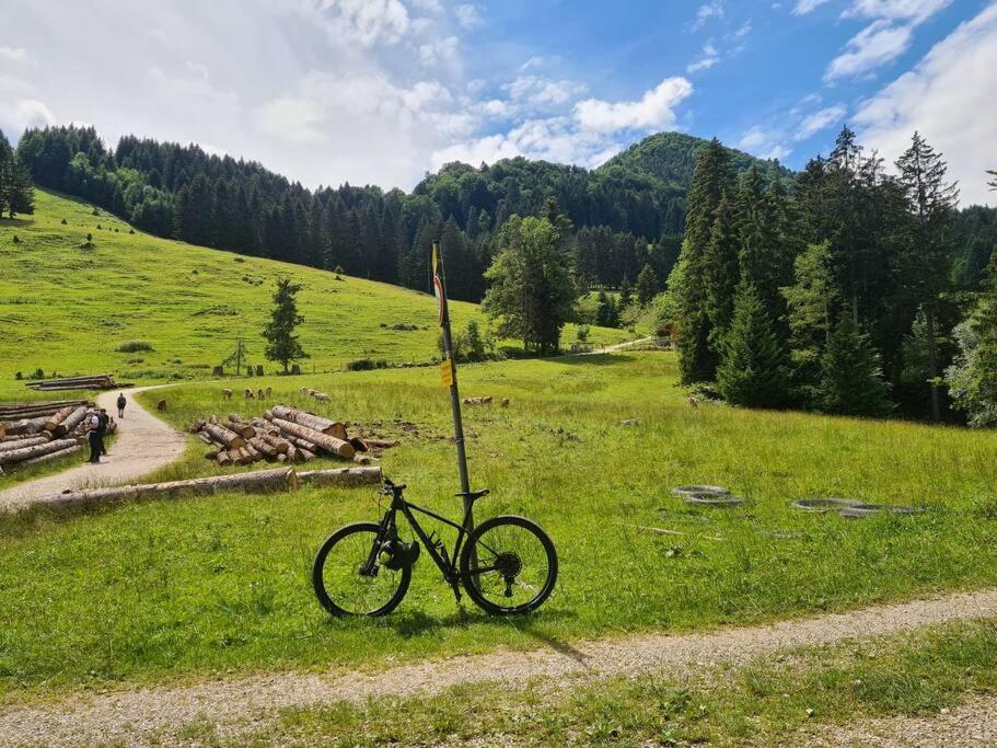 Vintage Studio Am Chiemsee Übersee エクステリア 写真